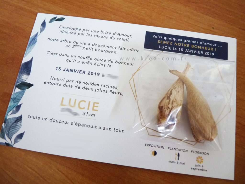verso faire part naissance lucie feuilles bulbes or